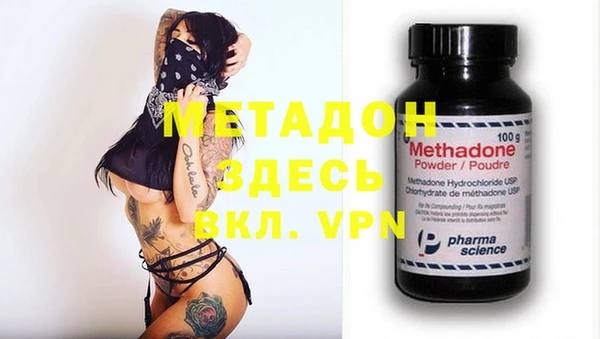 прущие грибы Медвежьегорск