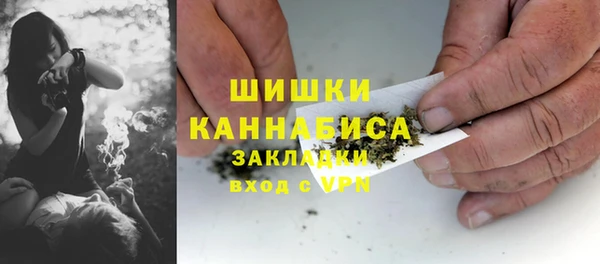 прущие грибы Медвежьегорск