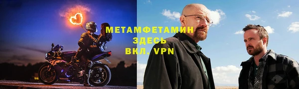 прущие грибы Медвежьегорск