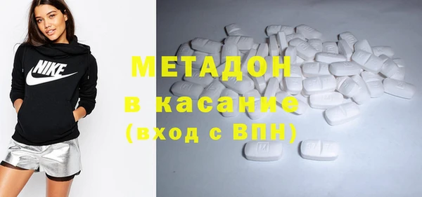 прущие грибы Медвежьегорск