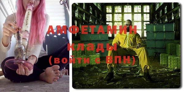 прущие грибы Медвежьегорск