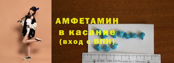 прущие грибы Медвежьегорск
