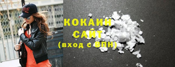 прущие грибы Медвежьегорск