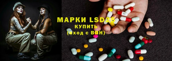 прущие грибы Медвежьегорск
