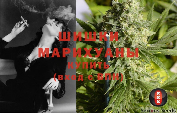 прущие грибы Медвежьегорск