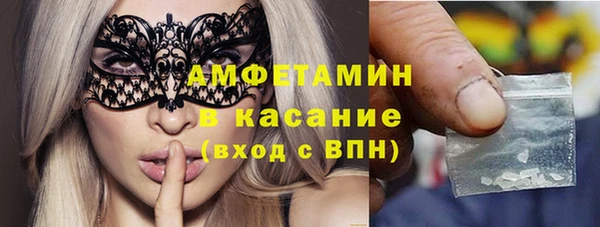 прущие грибы Медвежьегорск
