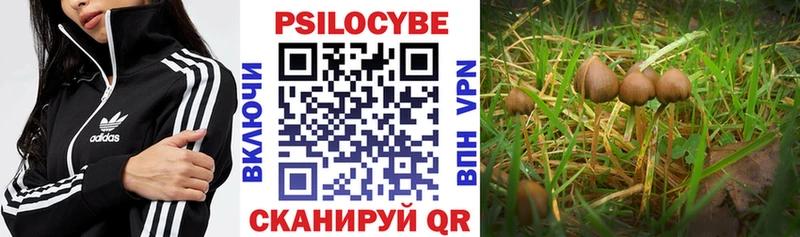 Галлюциногенные грибы Psilocybine cubensis  Купить закладки  Киров 